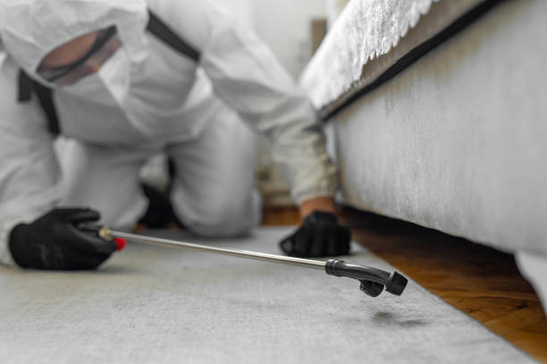 Professional Cockroach Control technician working in Warminster Heights, PA