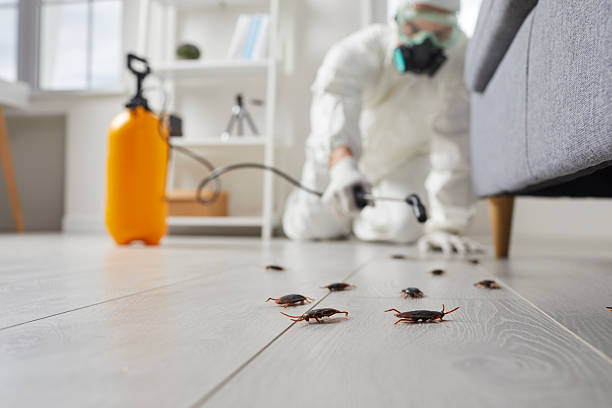 Affordable Cockroach Control solutions in Warminster Heights, PA
